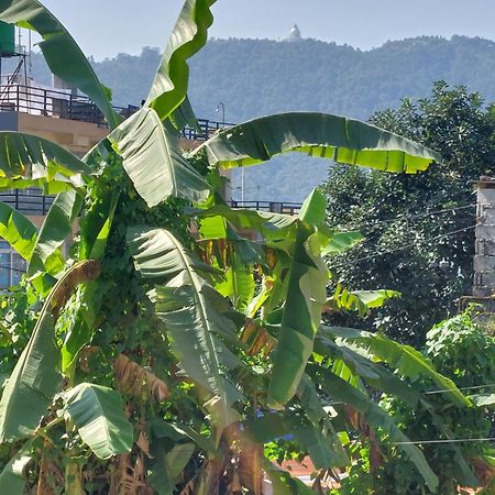 Paramount Guest House Pokhara Exterior photo